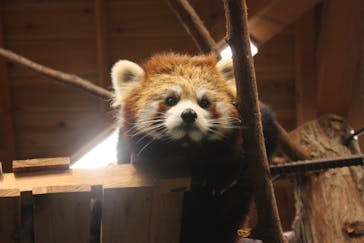 伊豆シャボテン動物公園に投稿された画像（2021/11/21）