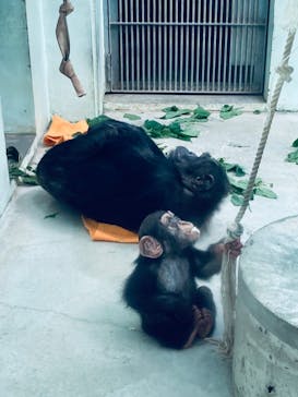 沖縄こどもの国に投稿された画像（2021/11/21）