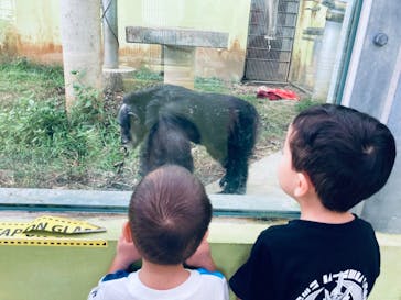 沖縄こどもの国に投稿された画像（2021/11/21）