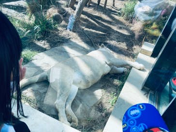 沖縄こどもの国に投稿された画像（2021/11/21）