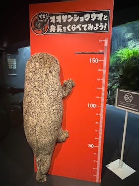 京都水族館に投稿された画像（2021/11/21）