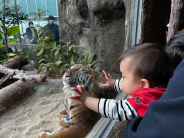 神戸どうぶつ王国に投稿された画像（2021/11/21）