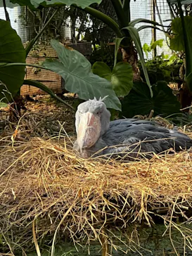 神戸どうぶつ王国に投稿された画像（2021/11/21）