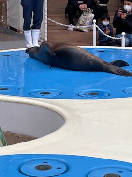 サンシャイン水族館に投稿された画像（2021/11/21）