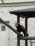 天王寺動物園に投稿された画像（2021/11/21）