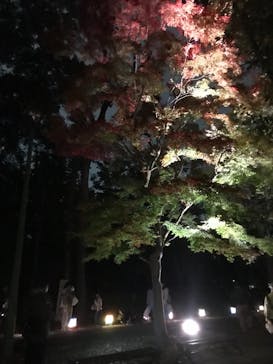 江戸東京たてもの園に投稿された画像（2021/11/21）