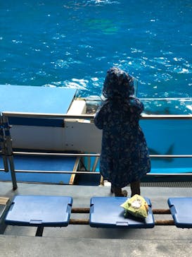 マクセル アクアパーク品川に投稿された画像（2021/11/21）