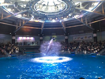 マクセル アクアパーク品川に投稿された画像（2021/11/21）