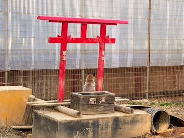 東武動物公園に投稿された画像（2021/11/21）