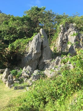 アスムイハイクスに投稿された画像（2021/11/21）