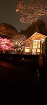 江戸東京たてもの園に投稿された画像（2021/11/21）