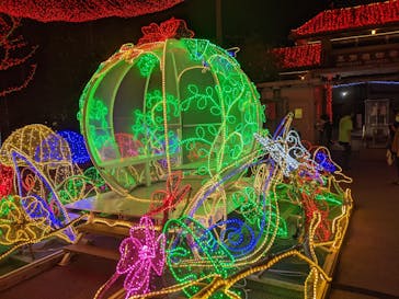 美らヤシパークオキナワ・東南植物楽園に投稿された画像（2021/11/21）