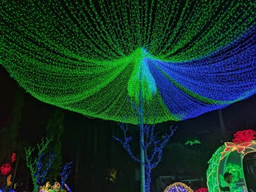 美らヤシパークオキナワ・東南植物楽園に投稿された画像（2021/11/21）