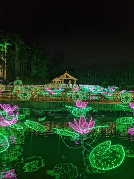 美らヤシパークオキナワ・東南植物楽園に投稿された画像（2021/11/21）