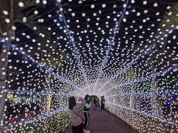 美らヤシパークオキナワ・東南植物楽園に投稿された画像（2021/11/21）