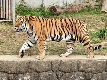 天王寺動物園に投稿された画像（2021/11/21）