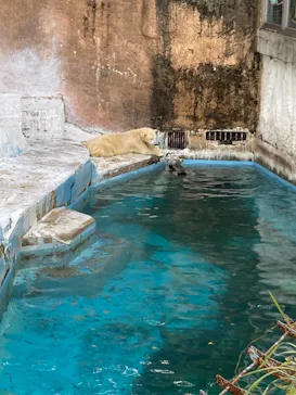 天王寺動物園に投稿された画像（2021/11/21）