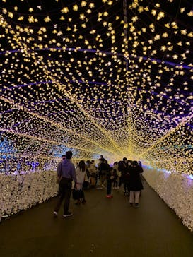 東京メガイルミに投稿された画像（2021/11/21）