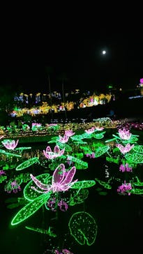 美らヤシパークオキナワ・東南植物楽園に投稿された画像（2021/11/21）