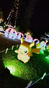 美らヤシパークオキナワ・東南植物楽園に投稿された画像（2021/11/21）