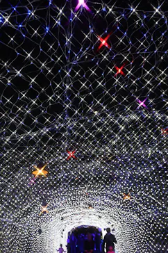 ひらかたパークに投稿された画像（2021/11/21）