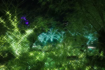 ひらかたパークに投稿された画像（2021/11/21）