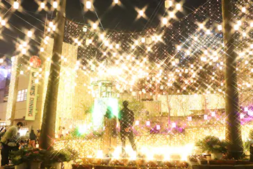 ひらかたパークに投稿された画像（2021/11/21）