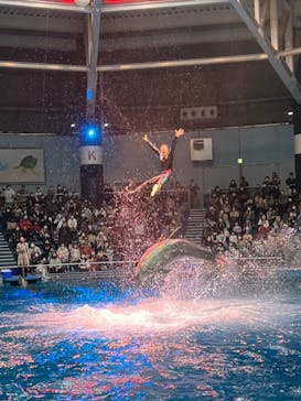 マクセル アクアパーク品川に投稿された画像（2021/11/21）