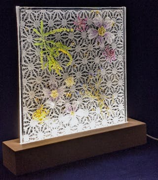 ずこうしつ〜sugamo〜に投稿された画像（2021/11/21）