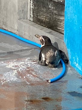 南知多ビーチランド＆南知多おもちゃ王国に投稿された画像（2021/11/21）