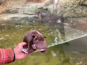 神戸どうぶつ王国に投稿された画像（2021/11/21）