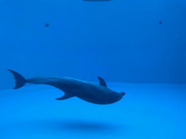 名古屋港水族館に投稿された画像（2021/11/21）