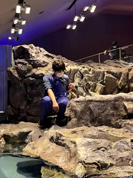 すみだ水族館に投稿された画像（2021/11/21）