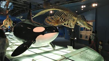 名古屋港水族館に投稿された画像（2021/11/21）