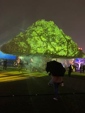 東京メガイルミに投稿された画像（2021/11/21）