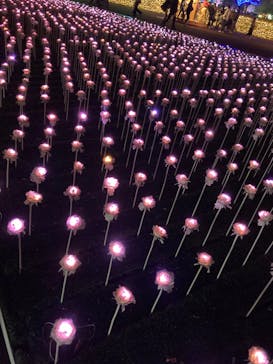 東京メガイルミに投稿された画像（2021/11/21）