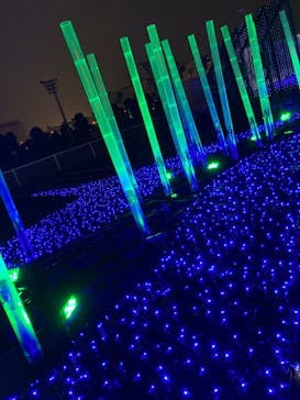 東京メガイルミに投稿された画像（2021/11/21）