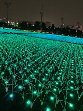 東京メガイルミに投稿された画像（2021/11/21）