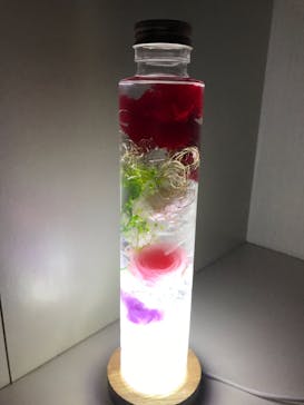 ずこうしつ〜sugamo〜に投稿された画像（2021/11/21）