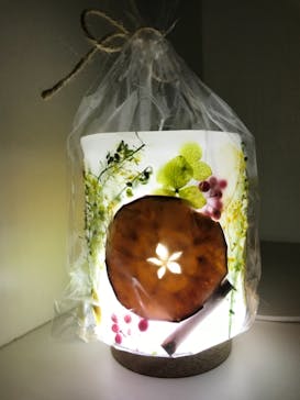 ずこうしつ〜sugamo〜に投稿された画像（2021/11/21）