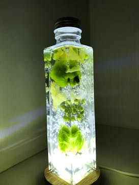 ずこうしつ〜sugamo〜に投稿された画像（2021/11/21）