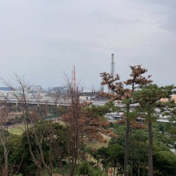 三溪園に投稿された画像（2021/11/21）