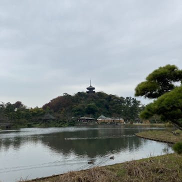 三溪園に投稿された画像（2021/11/21）