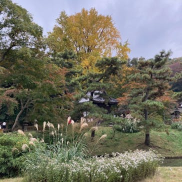 三溪園に投稿された画像（2021/11/21）