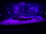 サンシャイン水族館に投稿された画像（2021/11/22）