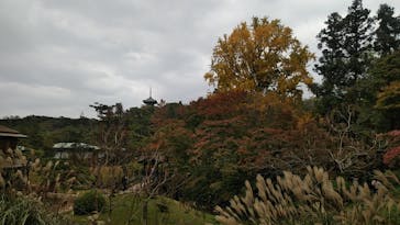 三溪園に投稿された画像（2021/11/21）