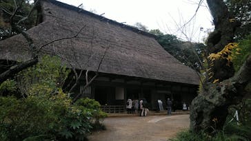 三溪園に投稿された画像（2021/11/21）