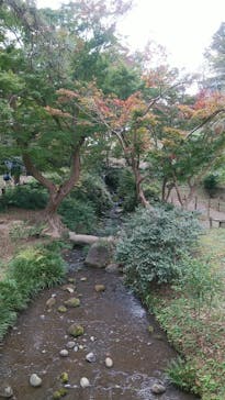 三溪園に投稿された画像（2021/11/21）