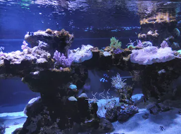 すみだ水族館に投稿された画像（2021/11/21）