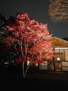 江戸東京たてもの園に投稿された画像（2021/11/21）